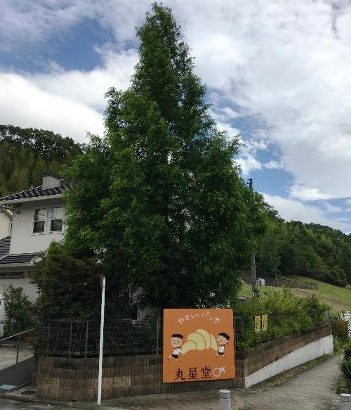 丸星堂の看板