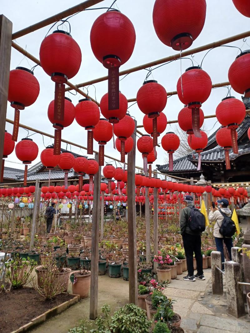 おふさ観音の様子