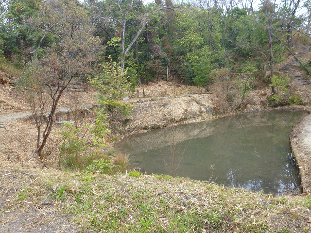 里山交流広場の整備2