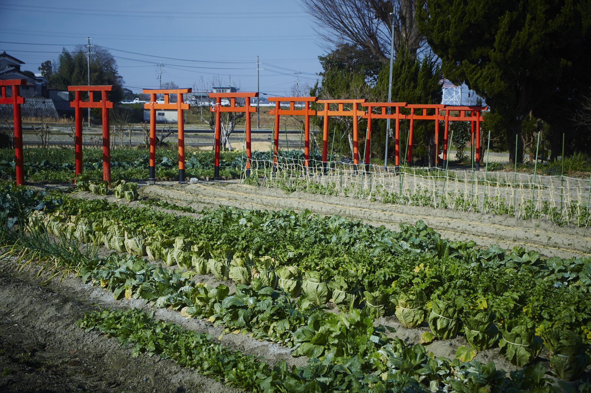 豊川稲荷