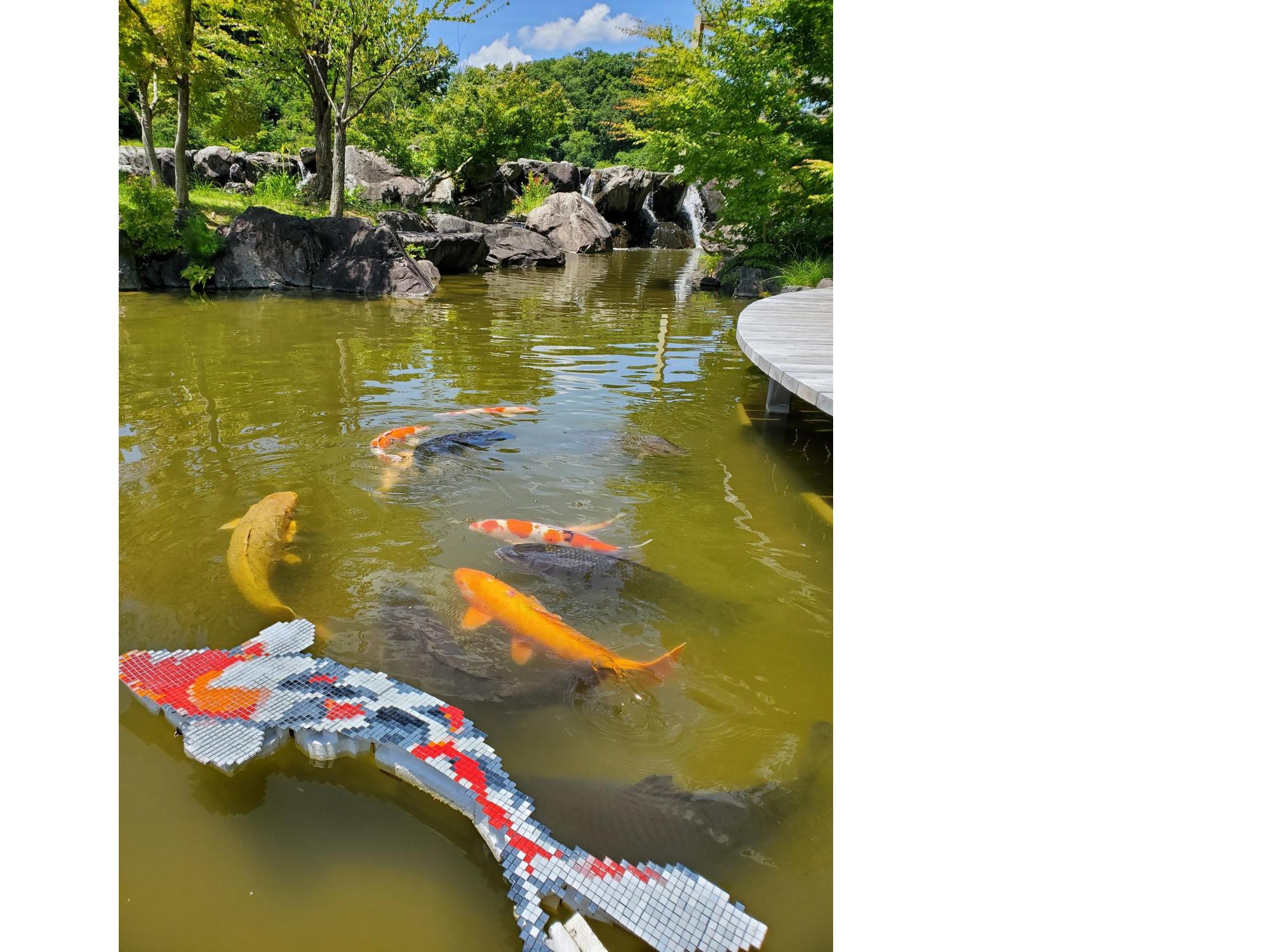 ARTCOMの画像
