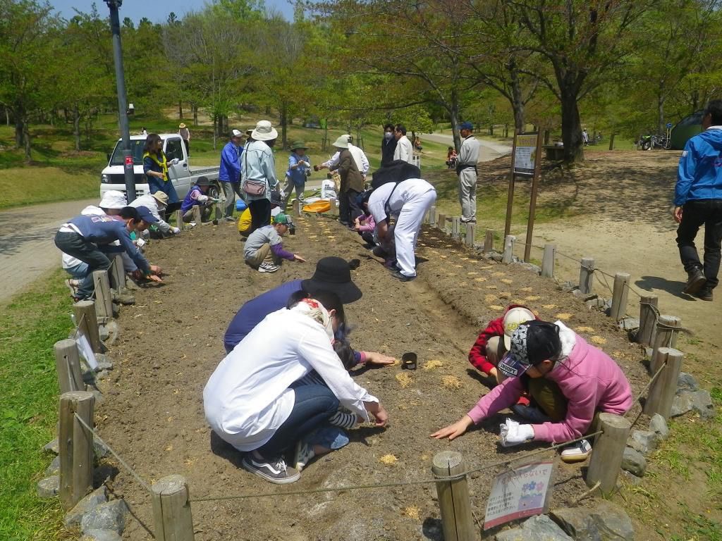 花壇のメンテナンスの様子の写真