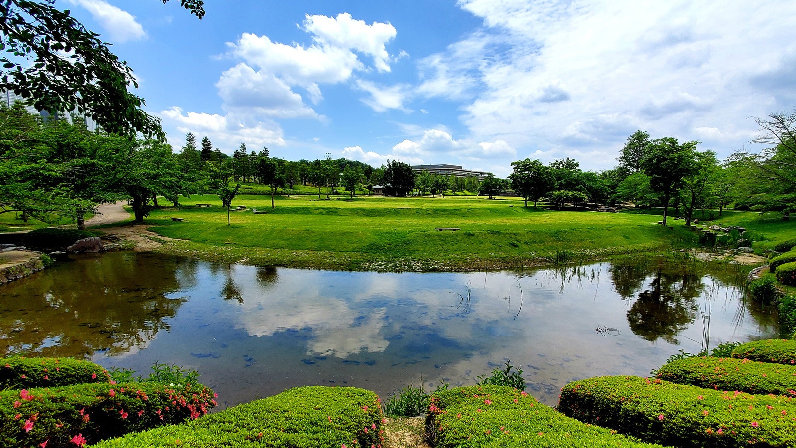 けいはんな記念公園の芝生広場