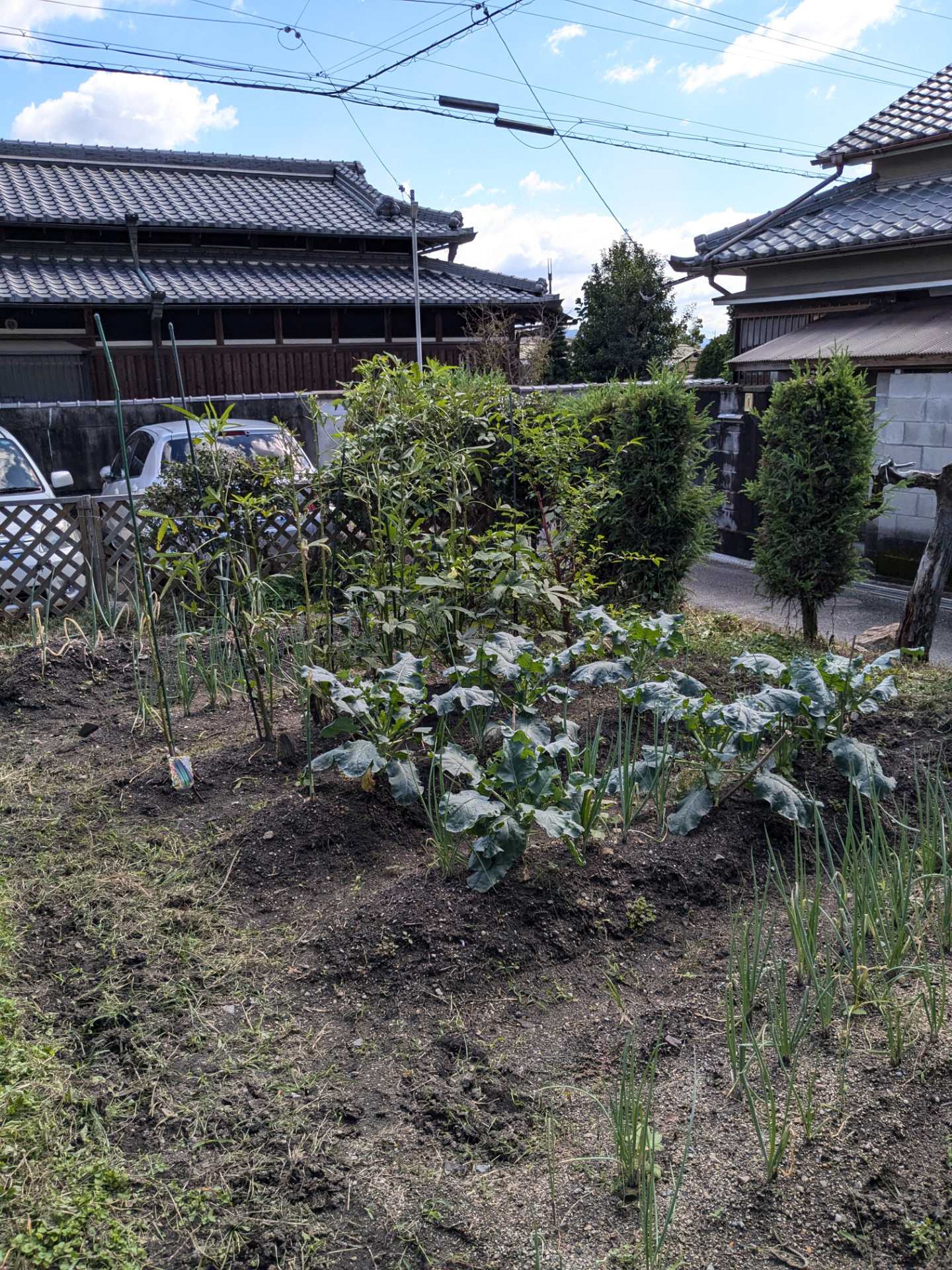 活動の様子