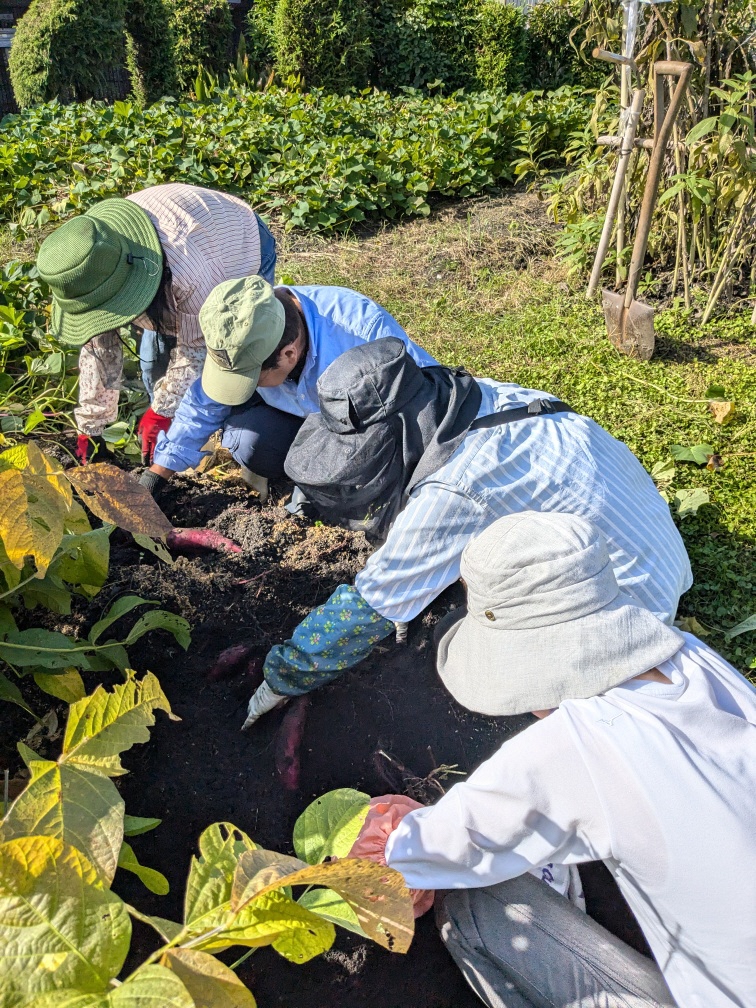 活動の様子