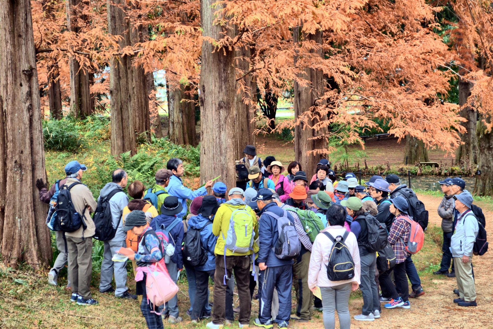 植物園ガイドツアー