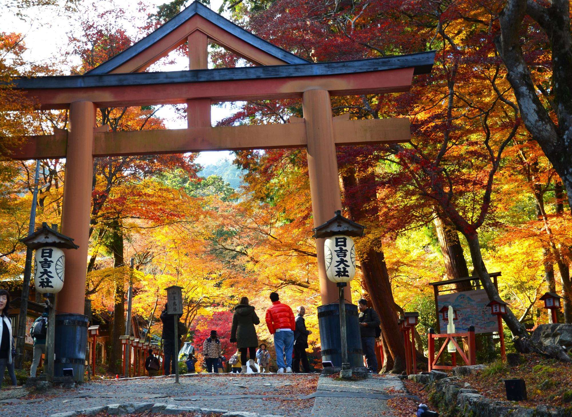 日吉大社の写真