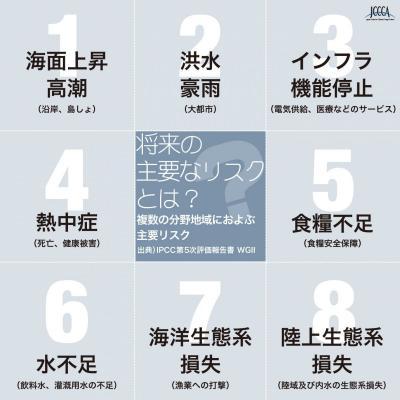 気候変動による将来の主要なリスク