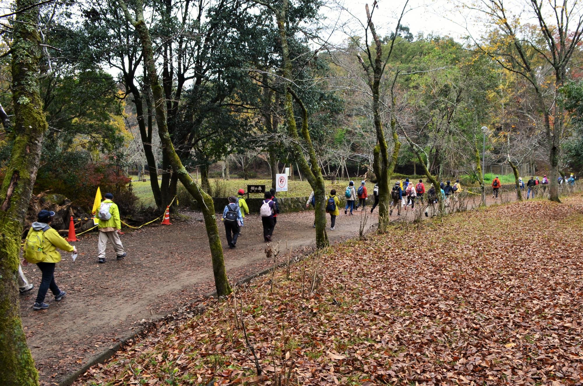 美しい紅葉を見ながらの素敵なウオーキング