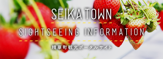 サイトバナー