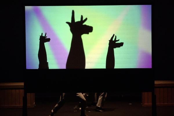 ハンドシャドウショー