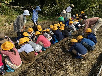 地域の方とサツマイモの植付