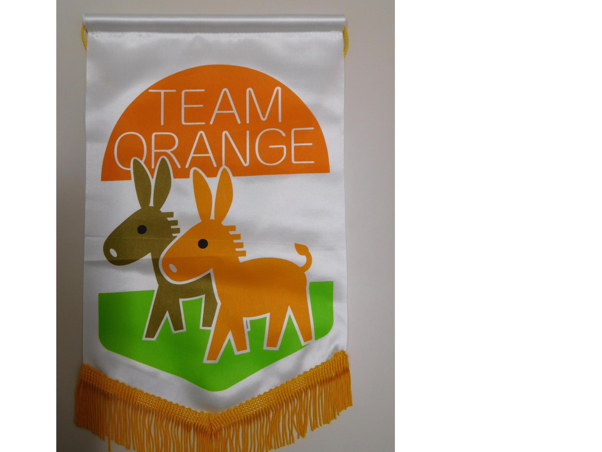 チームオレンジ