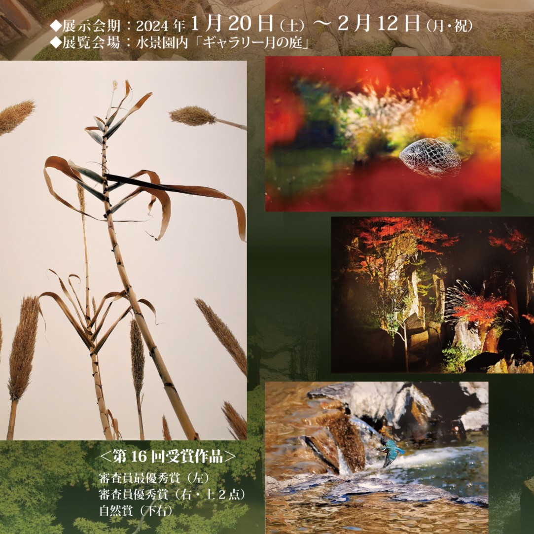 【1月20日～2月21日】第17回 公園の写真展