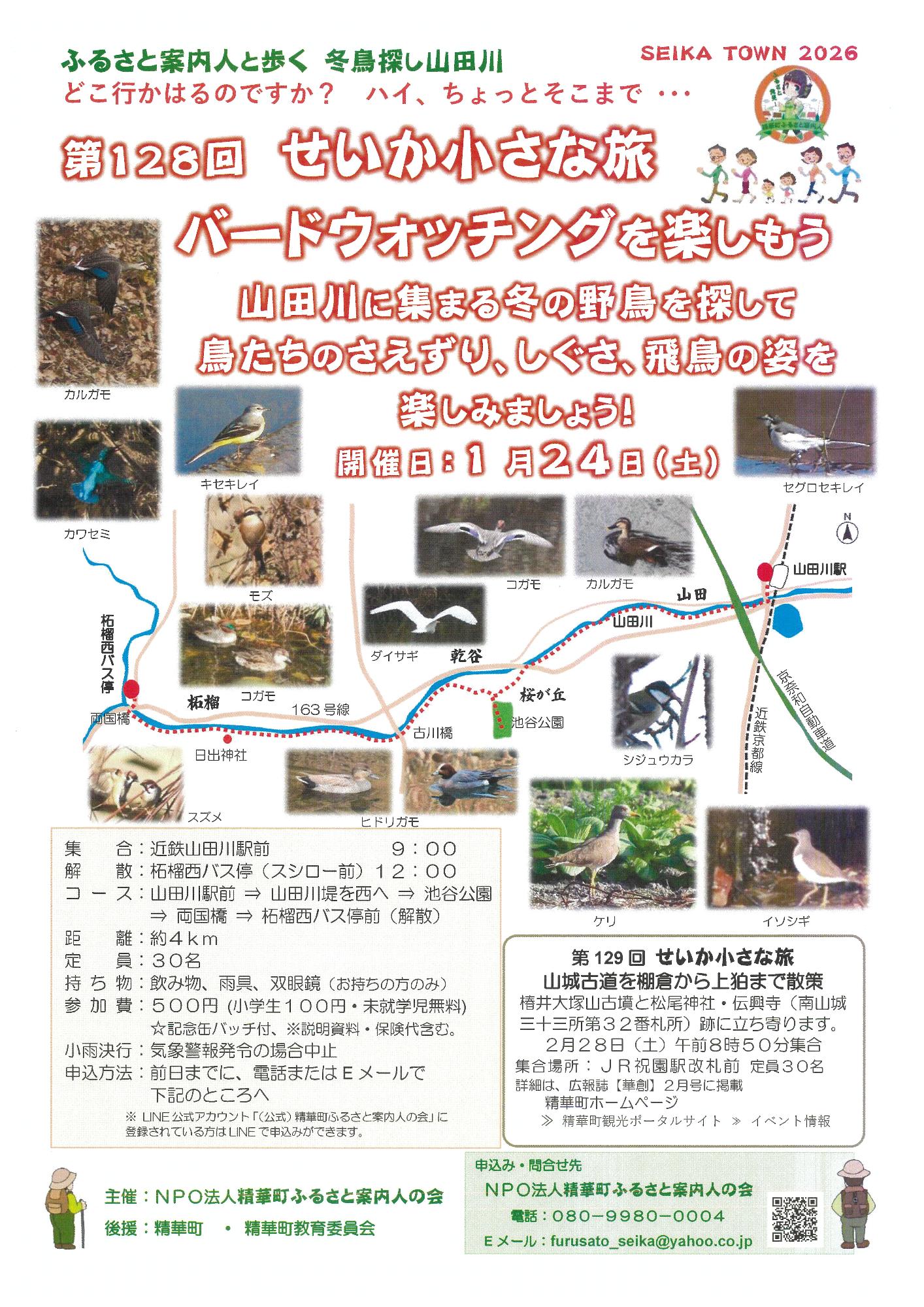 SEIKATOWN2026、ふるさと発見！精華町ふるさと案内人、カルガモの写真、カルガモ、カワセミの写真、カワセミ、キセキレイの写真、キセキレイ、モズの写真、モズ、コガモの写真、コガモ、コガモの写真、コガモ、ダイサギの写真、ダイサギ、カルガモの写真、カルガモ、セグロセキレイの写真、セグロセキレイ、山田川周辺の地図、山田川駅、京奈和自動車道、近鉄京都線、山田、山田川、桜が丘、池谷公園、乾谷、古川橋、163号線、柘榴、日出神社、柘榴西バス停、両国橋、スズメの写真、スズメ、ヒドリガモの写真、ヒドリガモ、ケリの写真、ケリ、シジュウカラの写真、シジュウカラ、イソシギの写真、イソシギ、その他画像内のテキスト情報はページ内に記載しています。