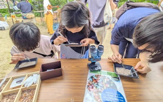 いきものフェスの画像