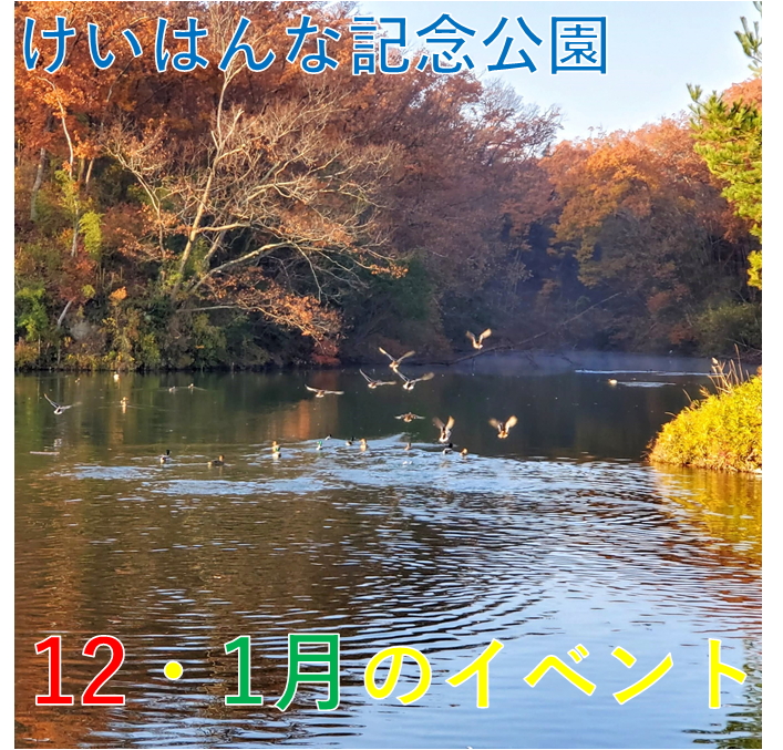 けいはんな記念公園2025年12月~2026年1月の主なイベント一覧