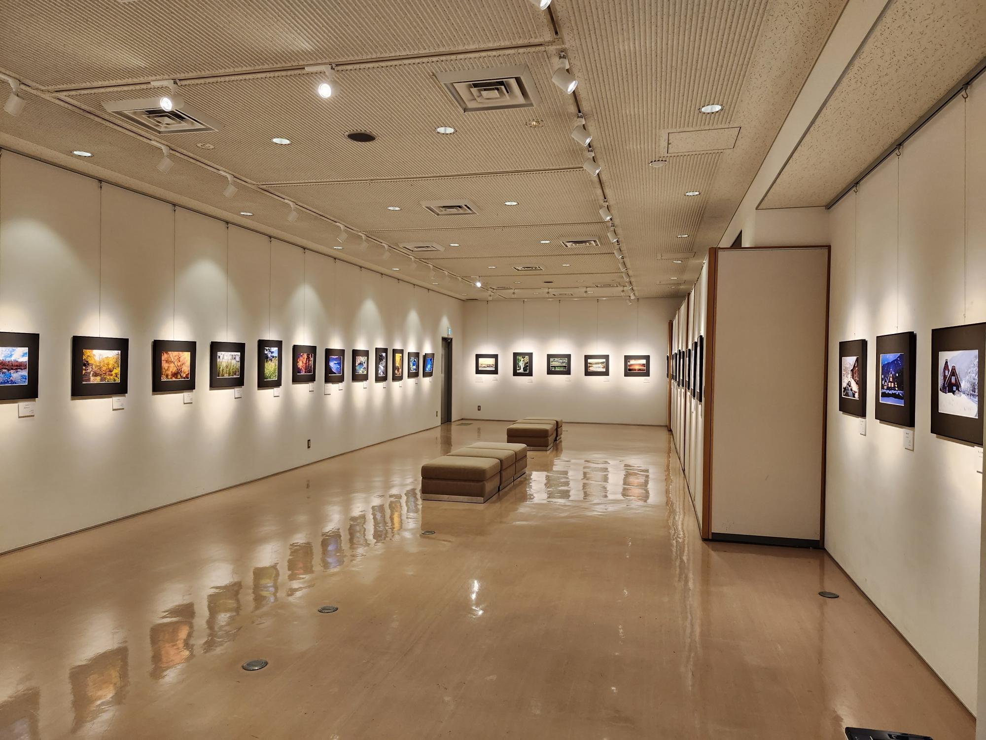 公園写真教室作品展の画像