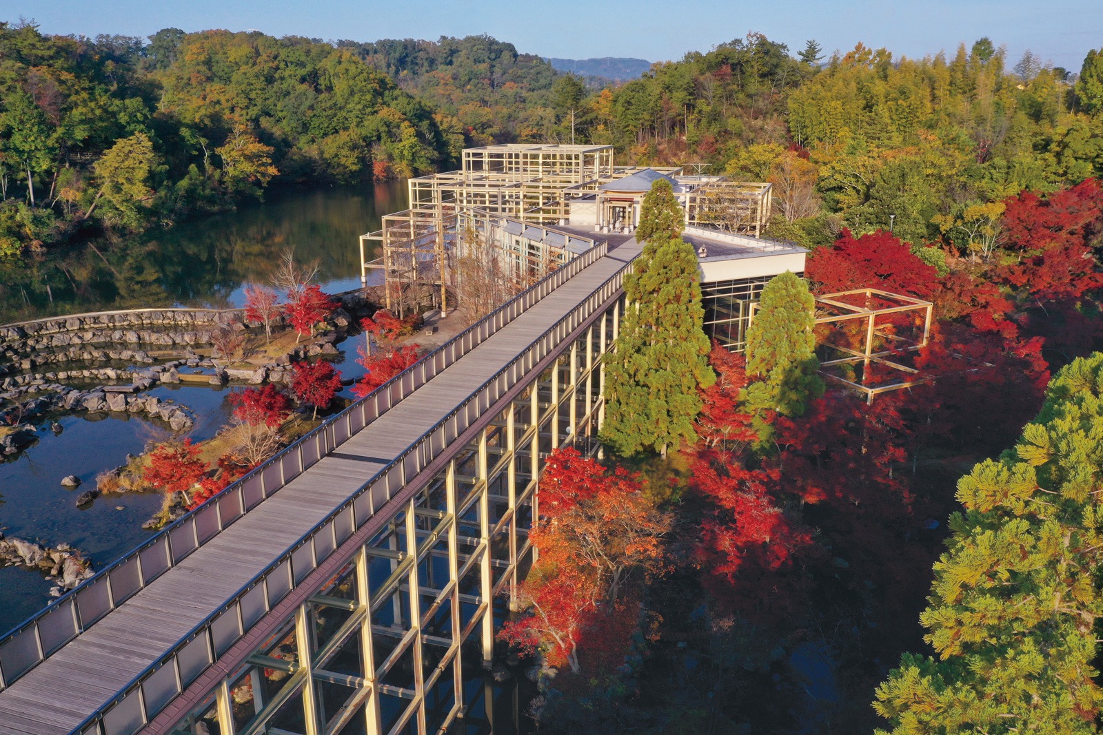 けいはんな記念公園の紅葉の写真