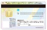 裏面（共通）の画像